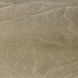 Nazca - Monkey